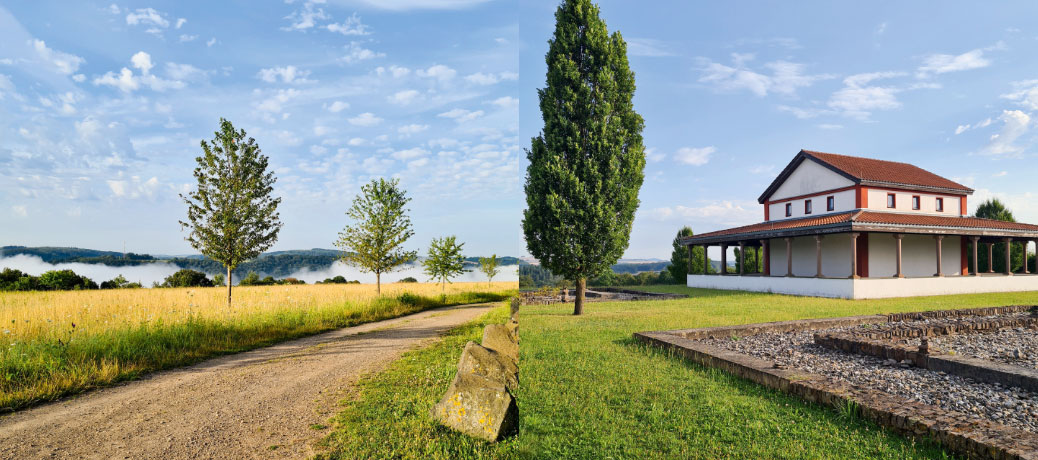 Genuss-Spaziergänge | Weingut Schneiders-Moritz