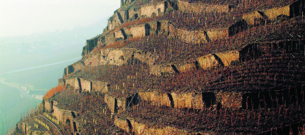 Röttgen rockt | Weingut Heymann-Löwenstein
