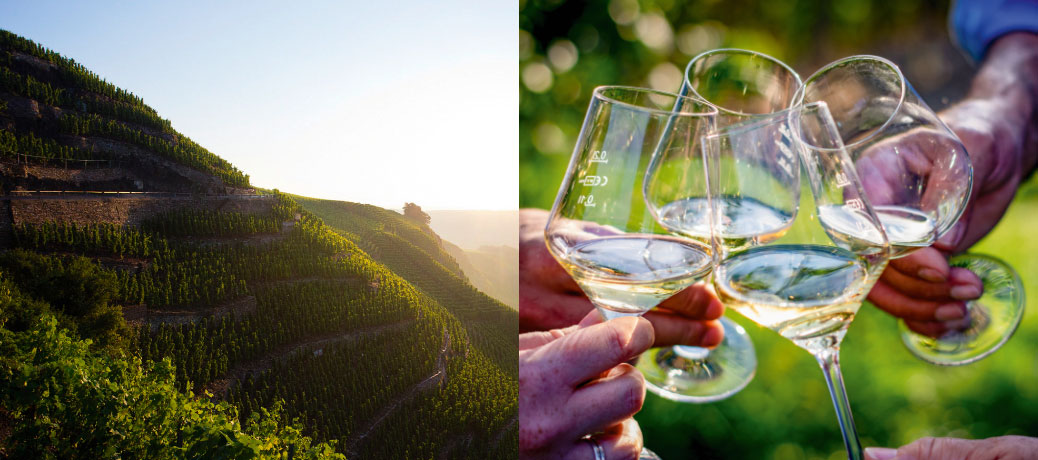 Hoffest 2026 | Weingut Rüdiger Kröber