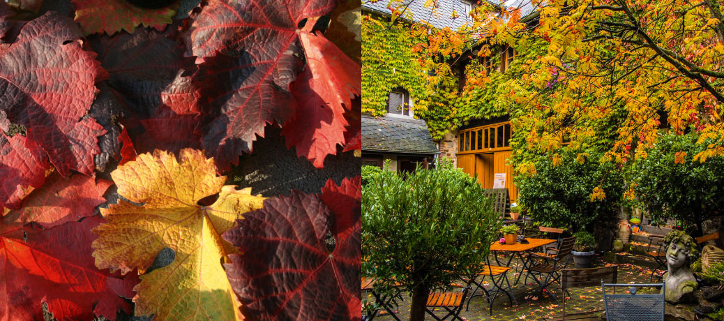 Herbstwanderung Terrassenmosel im Spiel der Farben | Winzerhof Gietzen